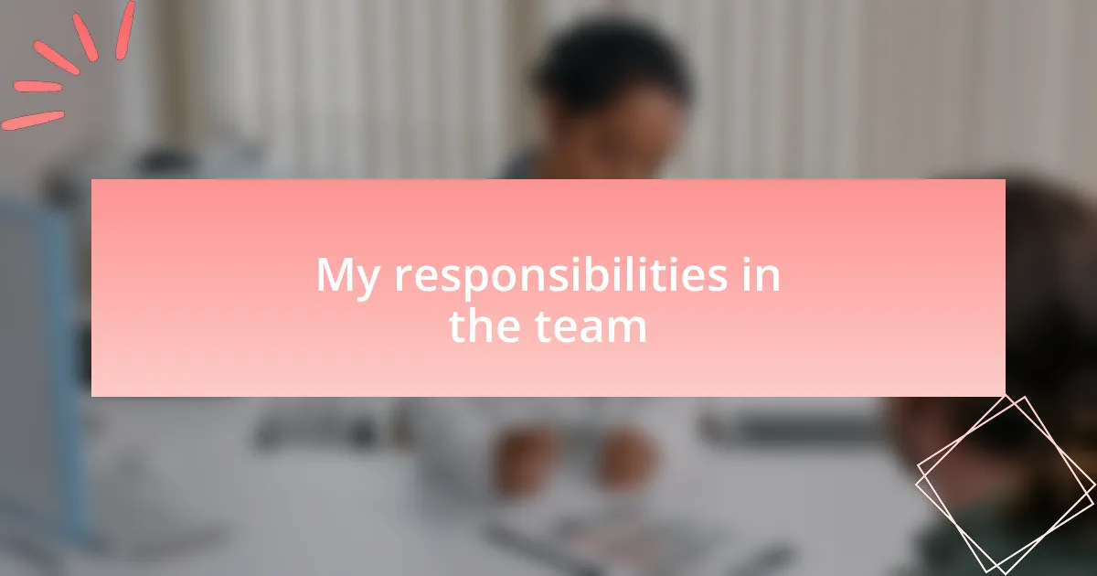 My responsibilities in the team
