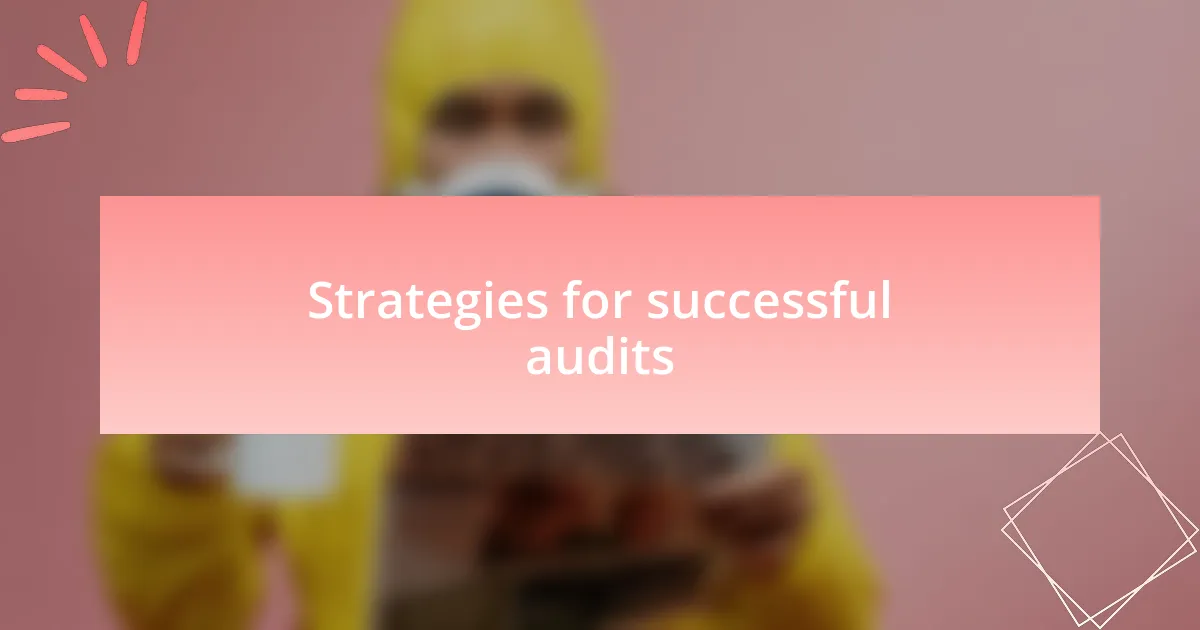 Strategies for successful audits